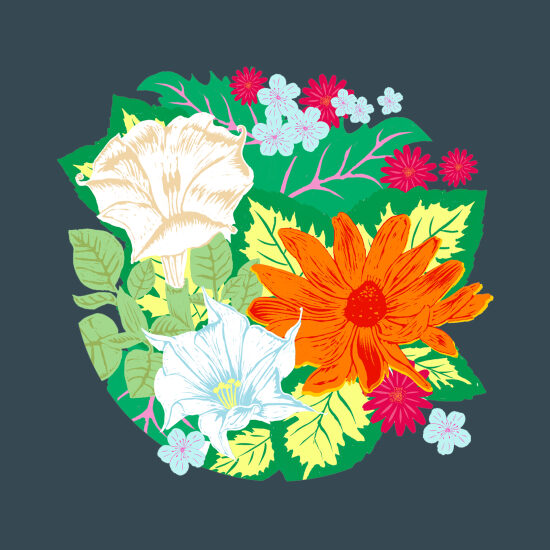 Fleurs Mexicaines